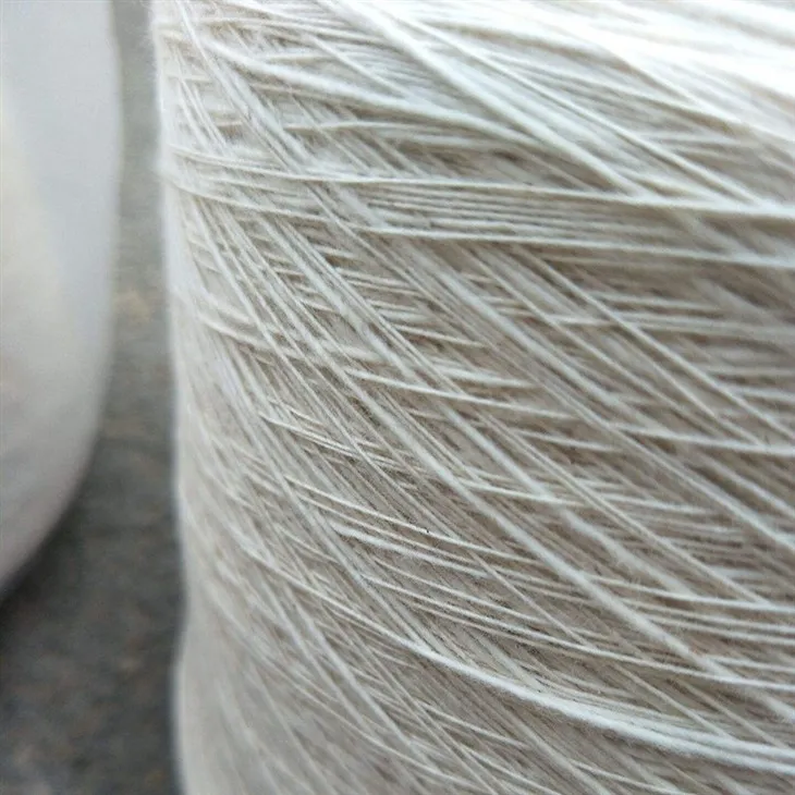 DM_20240204093812_001